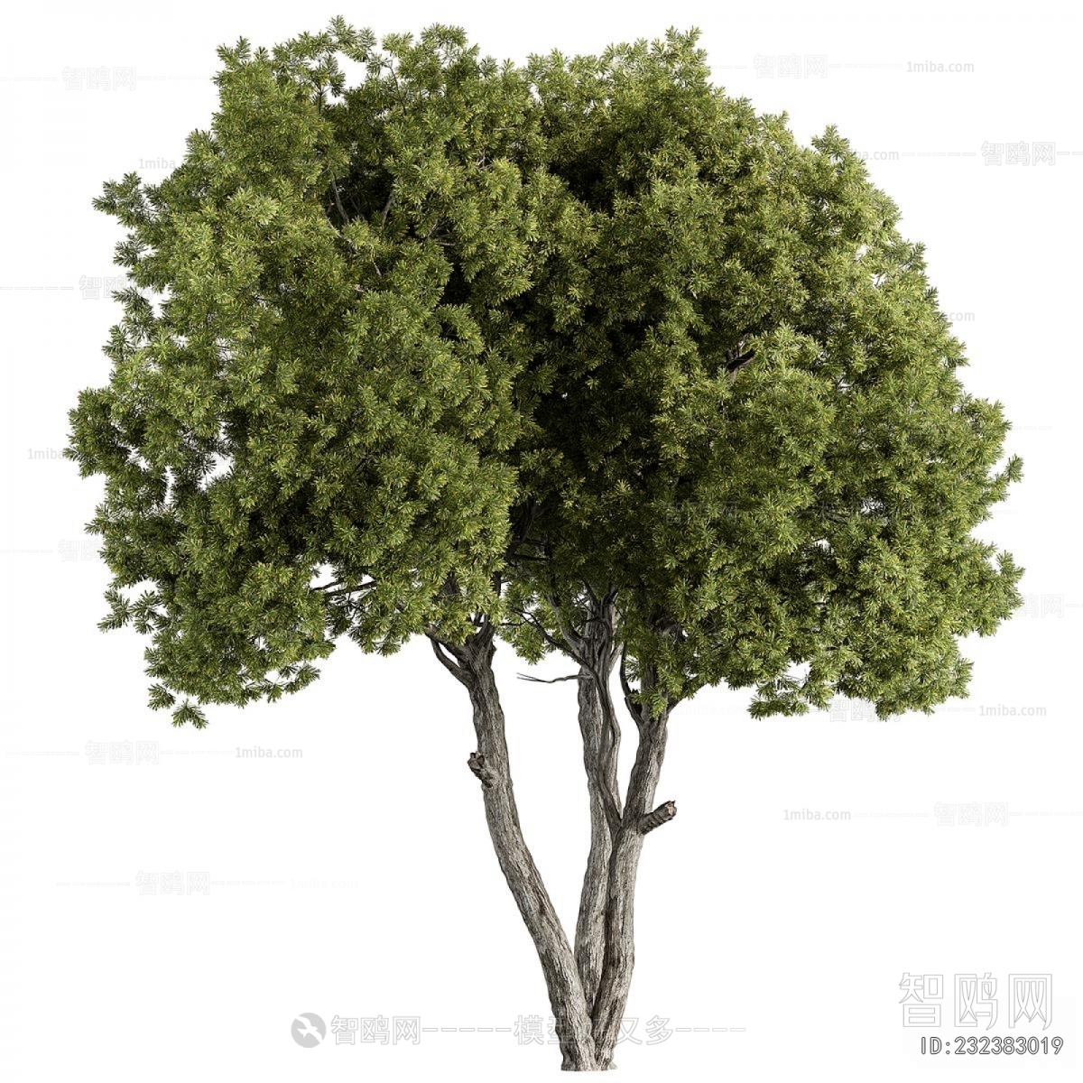 Modern Tree
