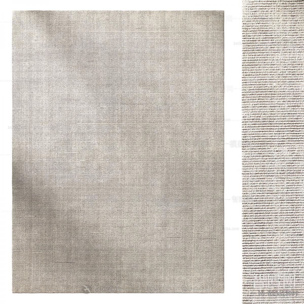 Modern The Carpet