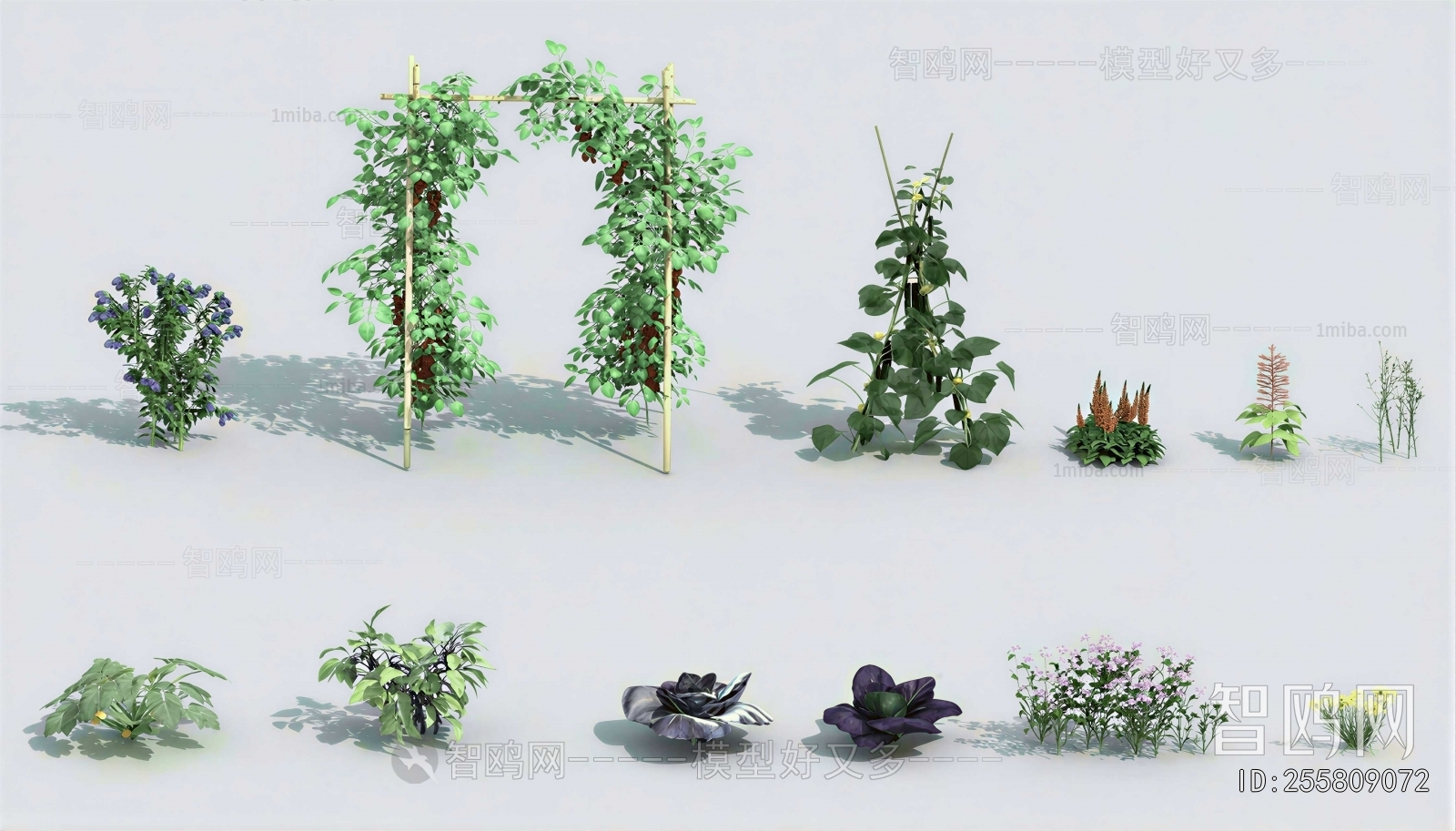Modern Flowers And Grass