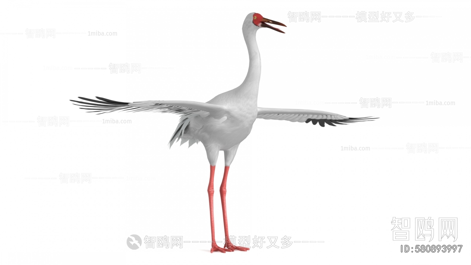 Modern Flying Animals