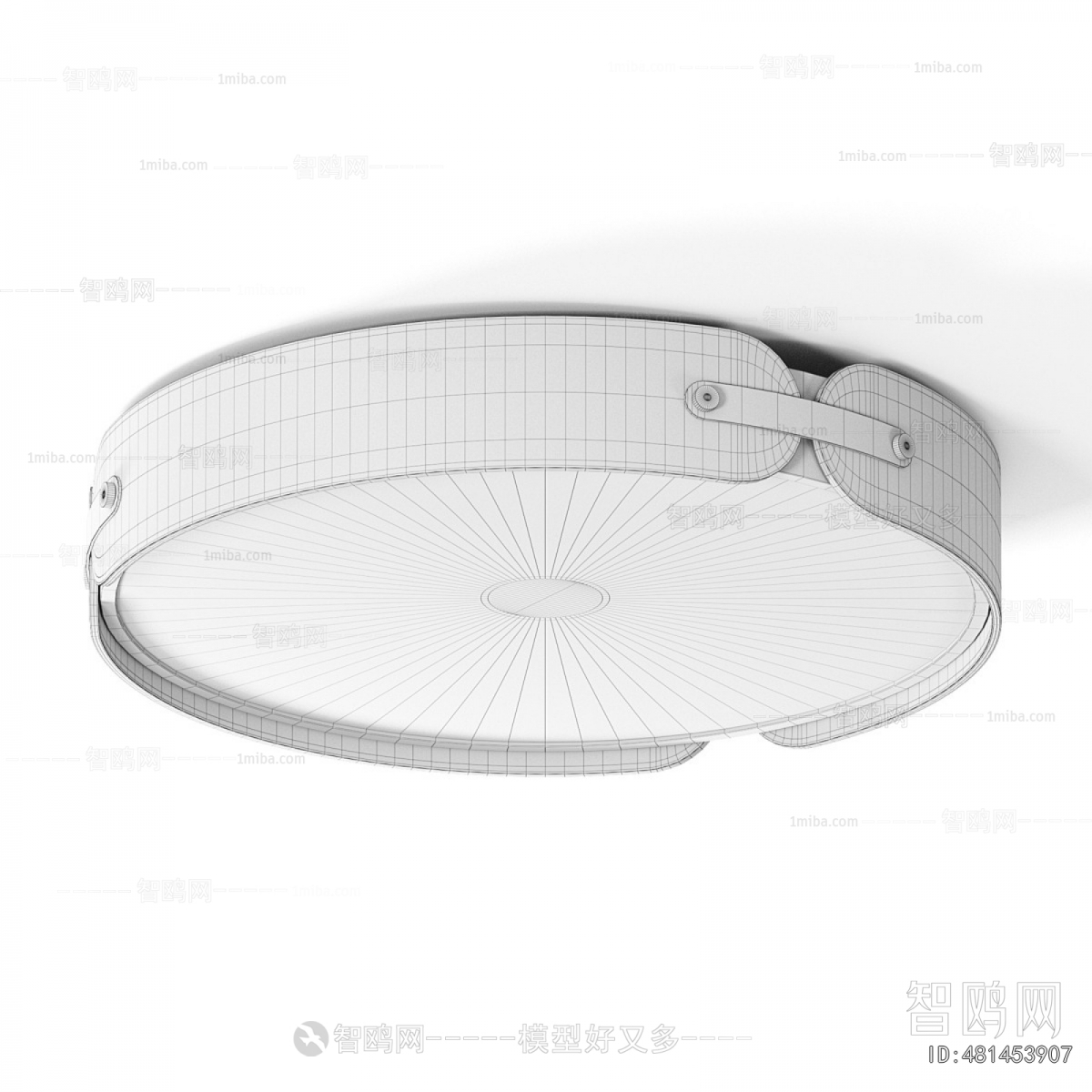 Modern Ceiling Ceiling Lamp