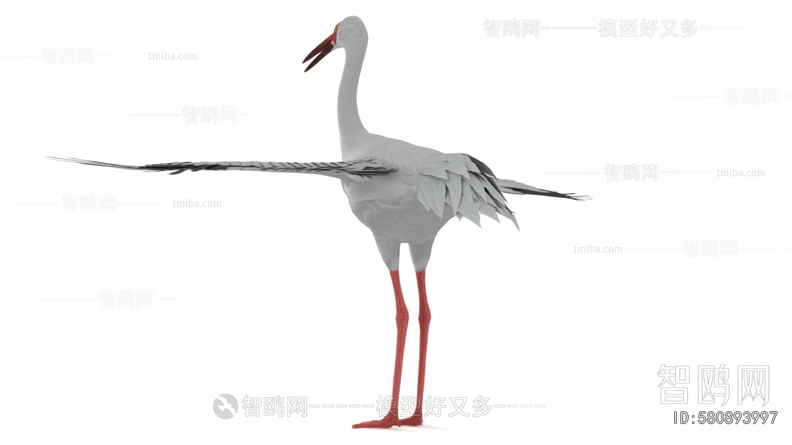Modern Flying Animals