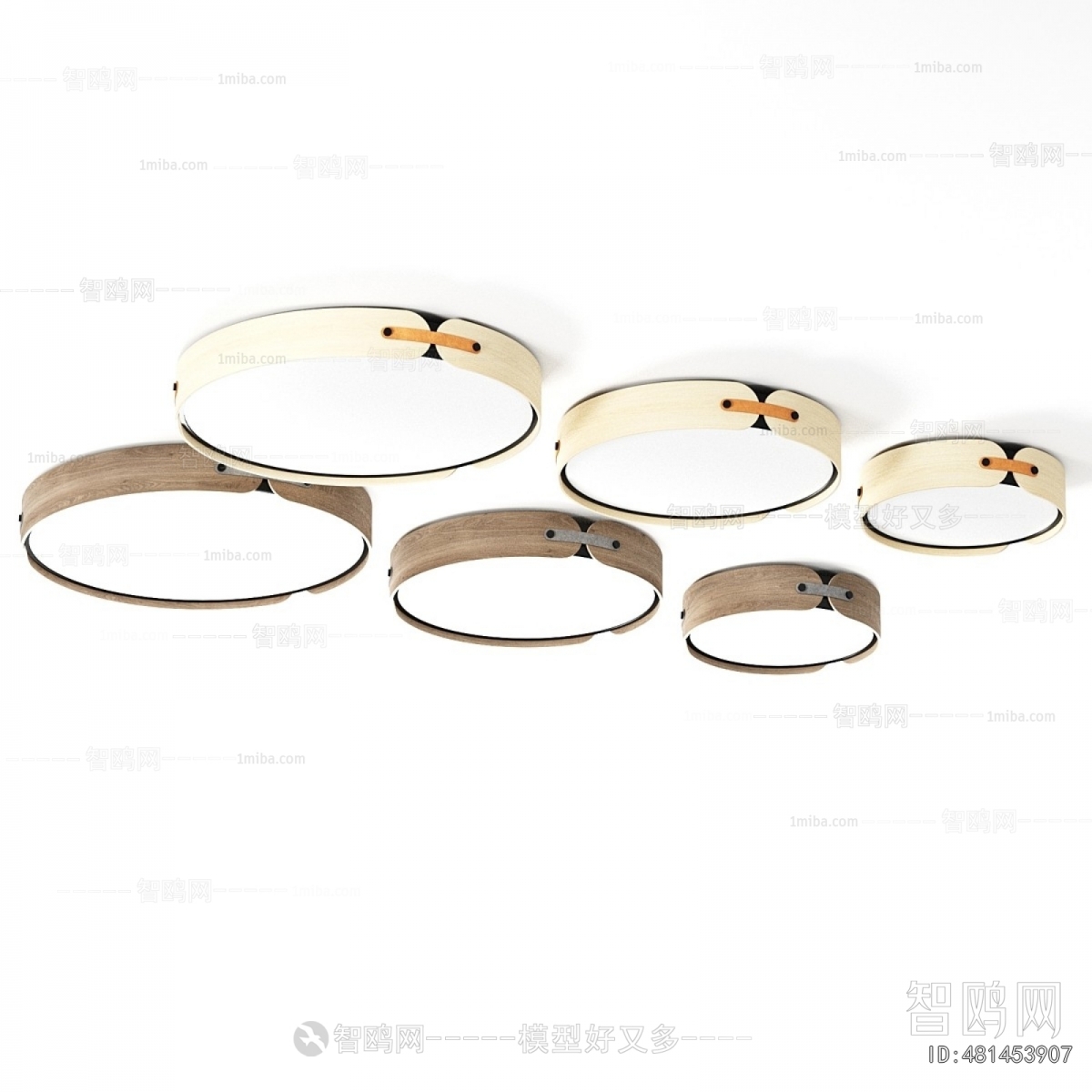 Modern Ceiling Ceiling Lamp