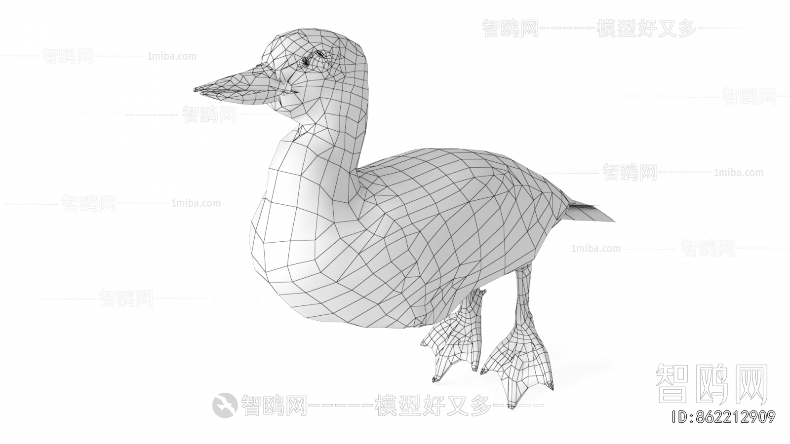 Modern Flying Animals