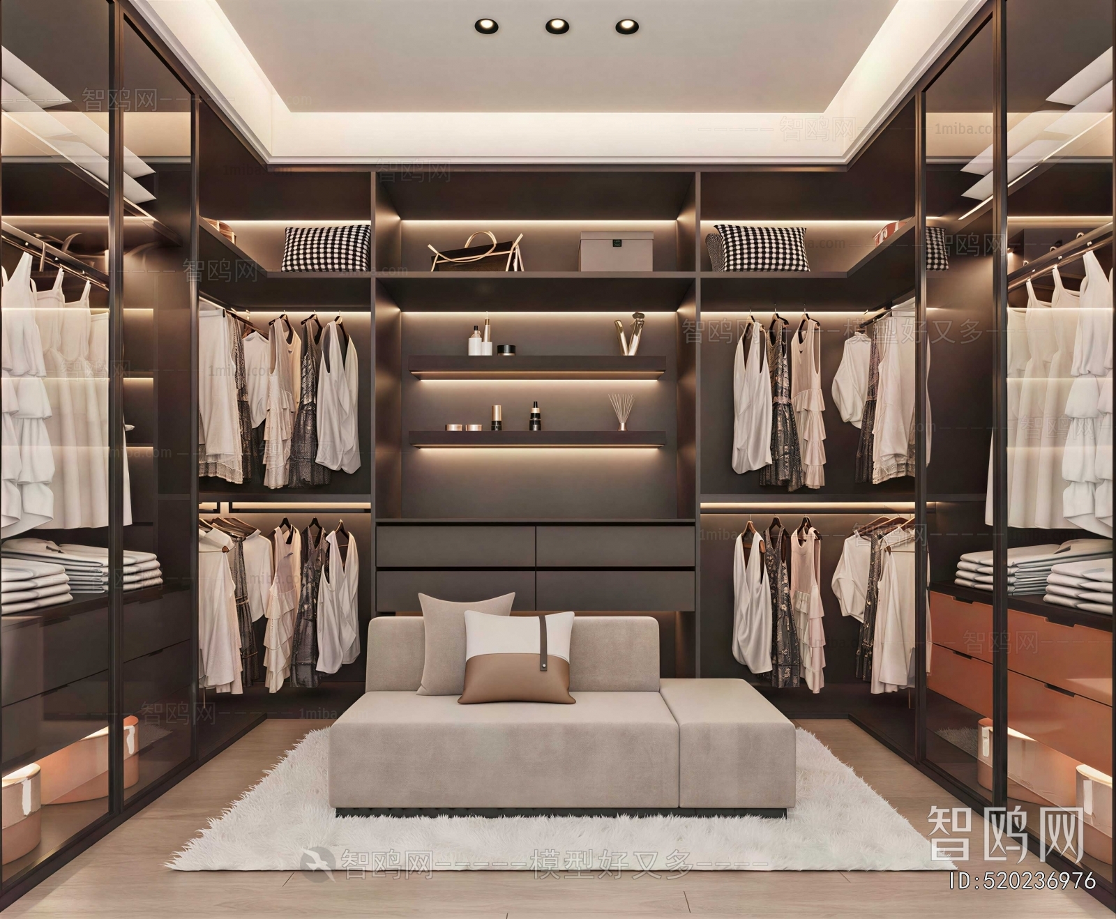Modern Clothes Storage Area