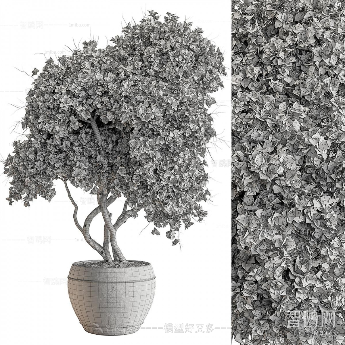 Modern Ground Green Plant Potted Plants