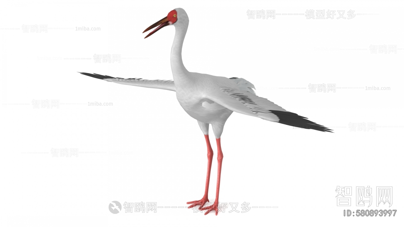 Modern Flying Animals