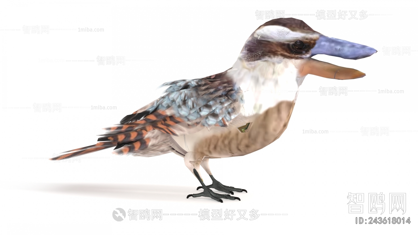 Modern Flying Animals
