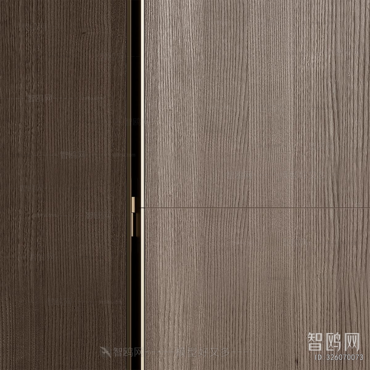 Modern Door