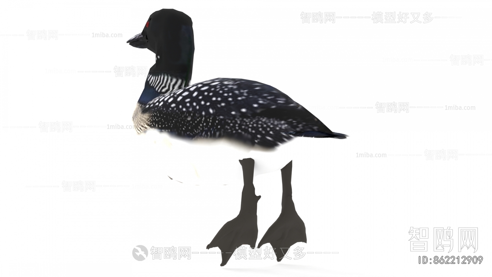 Modern Flying Animals