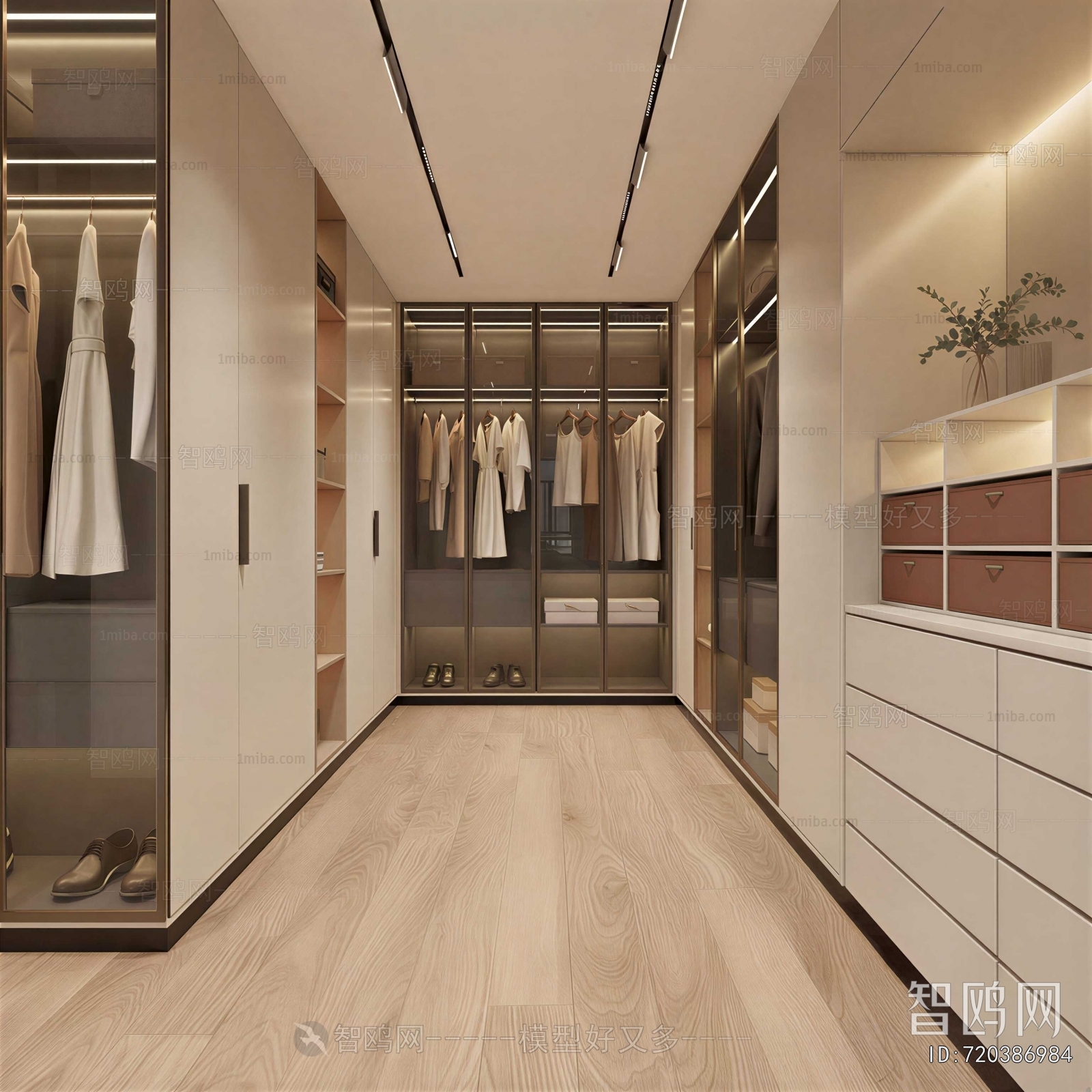 Modern Clothes Storage Area
