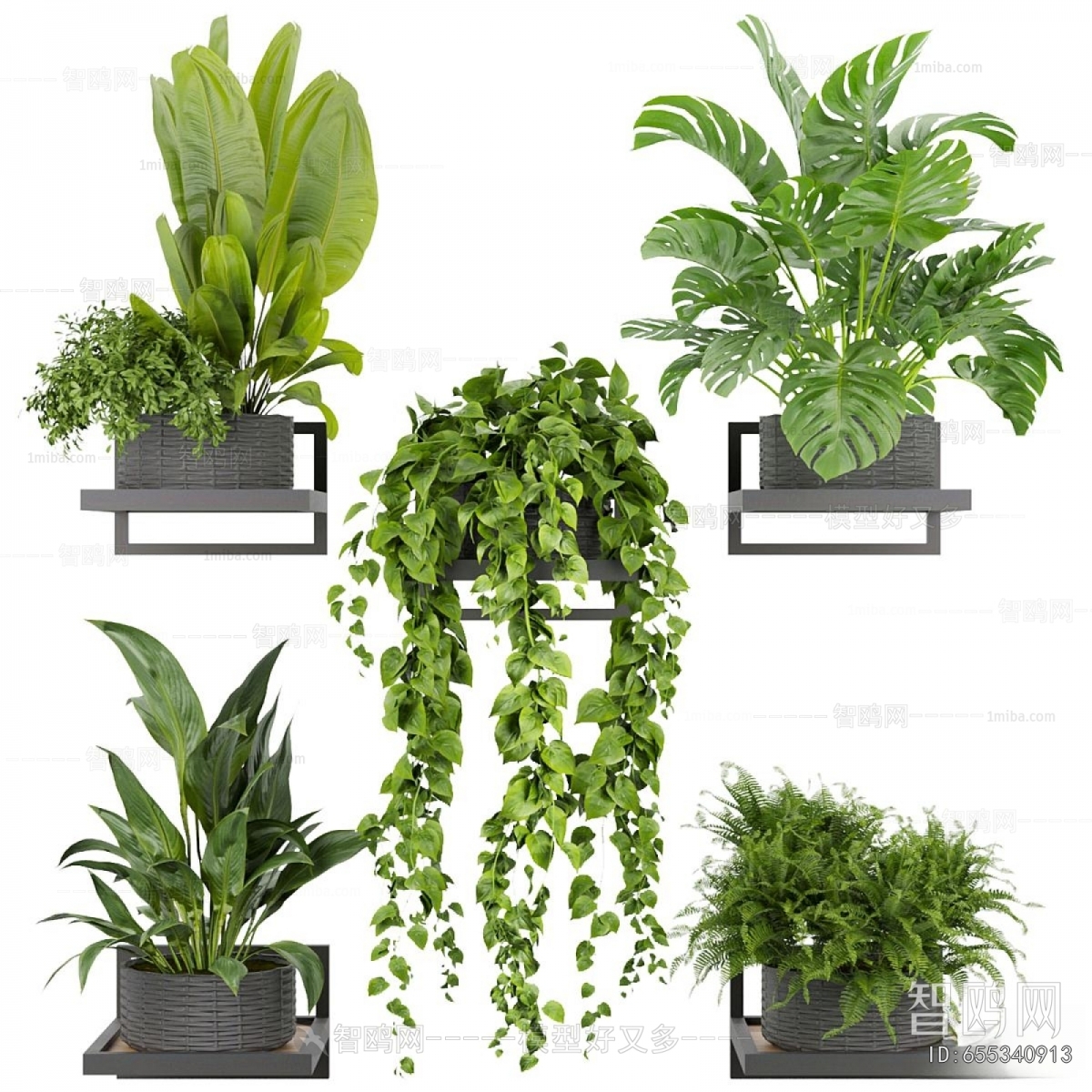 Modern Potted Green Plant