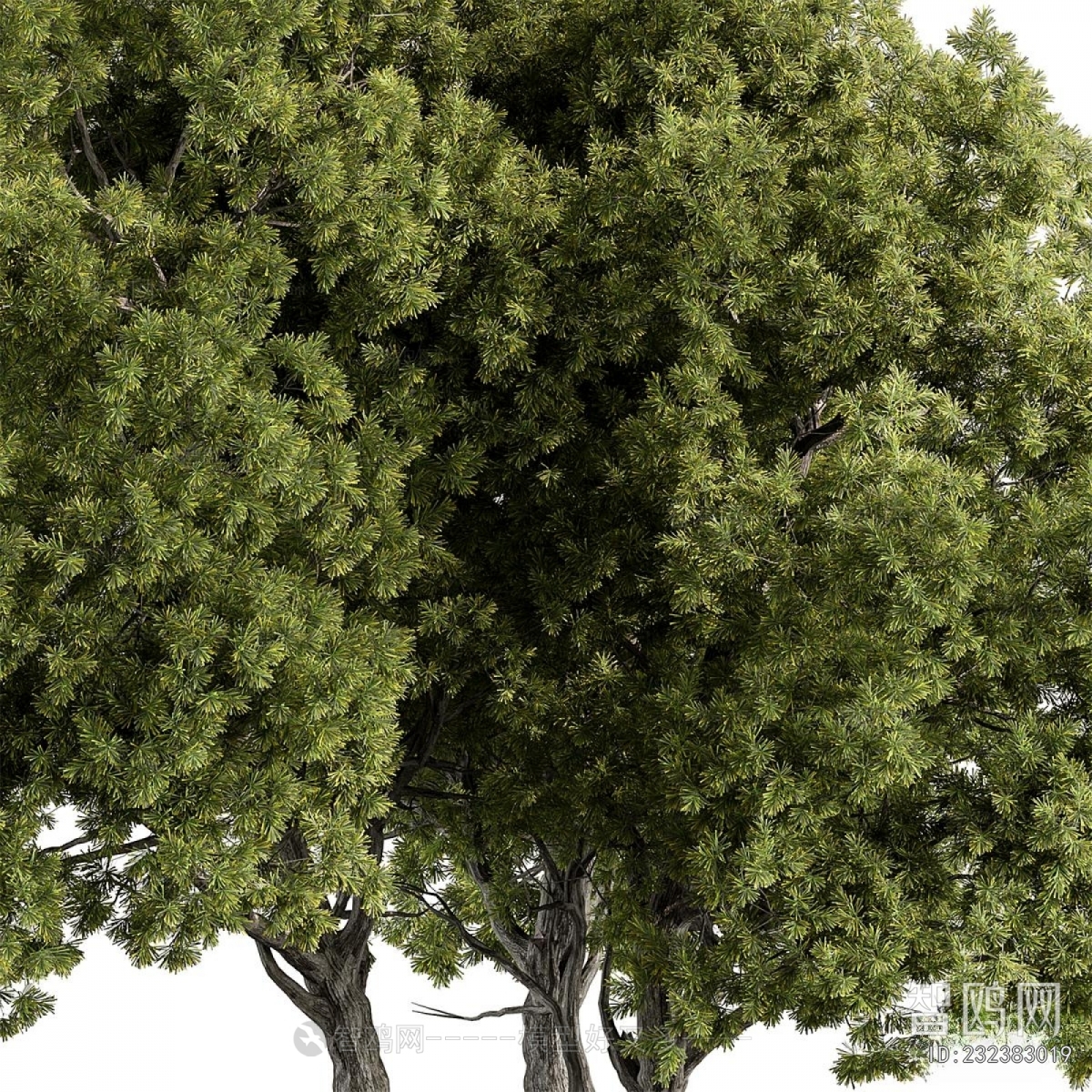 Modern Tree
