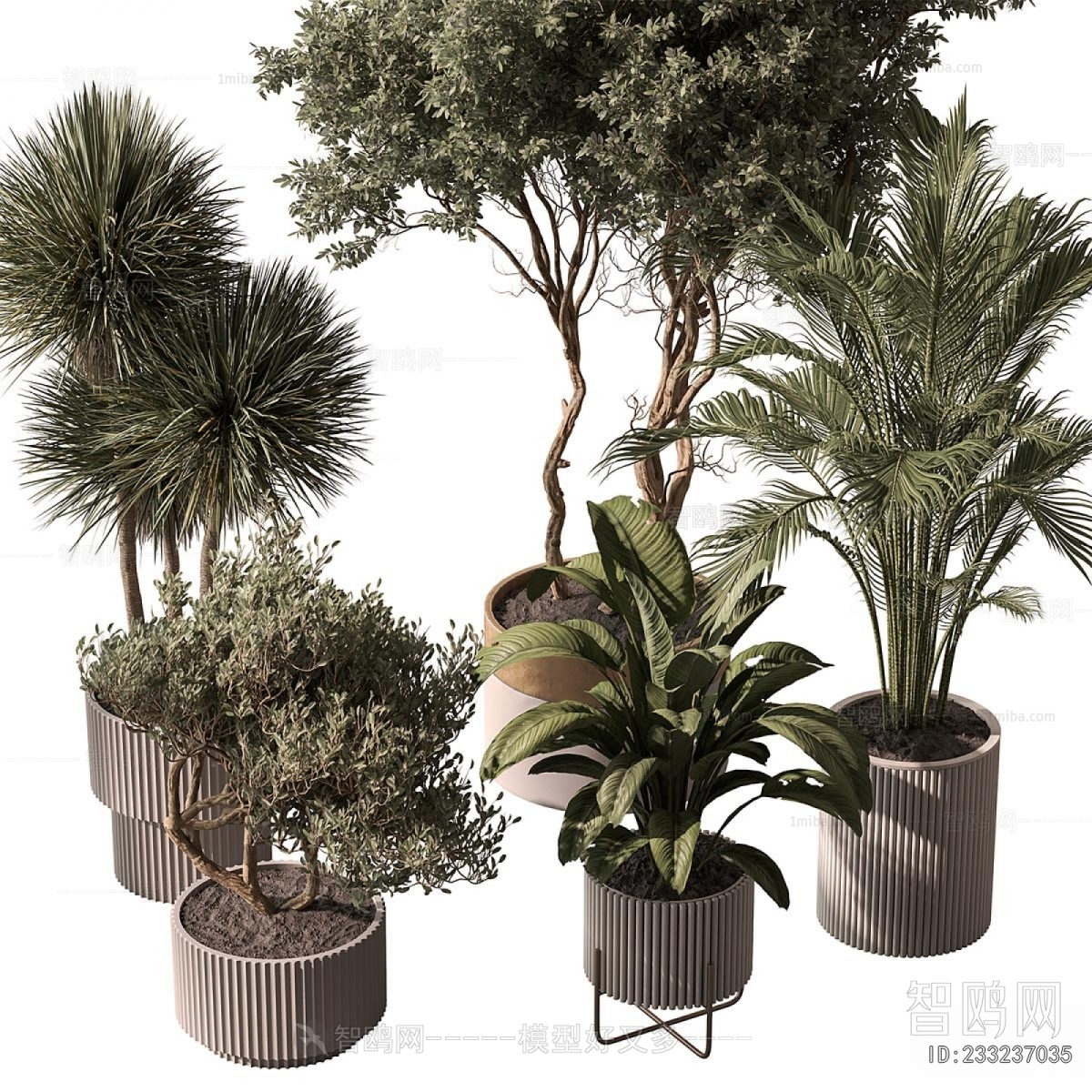 Modern Ground Green Plant Potted Plants