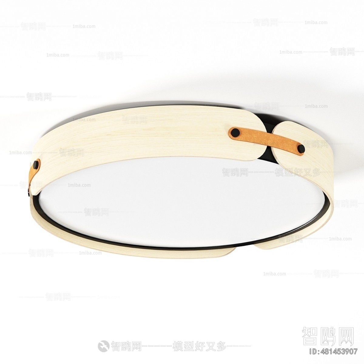 Modern Ceiling Ceiling Lamp