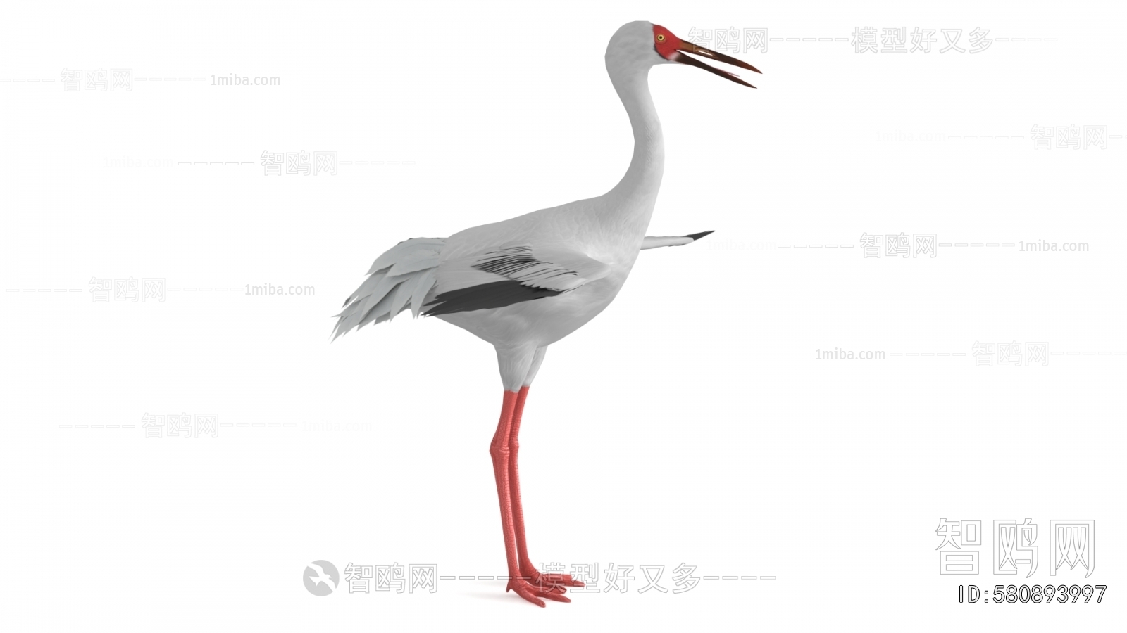 Modern Flying Animals