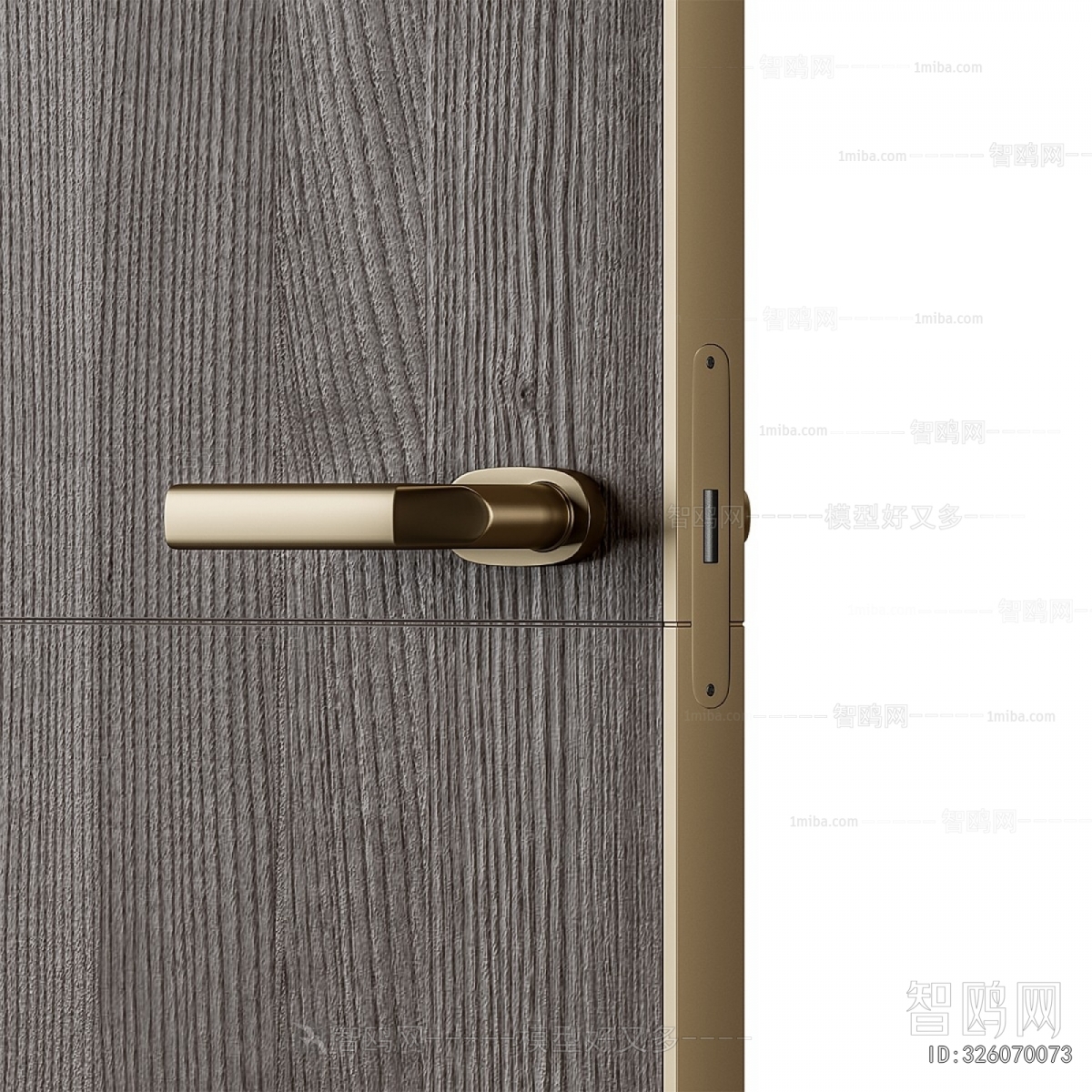 Modern Door