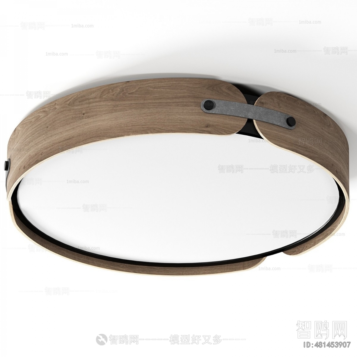 Modern Ceiling Ceiling Lamp