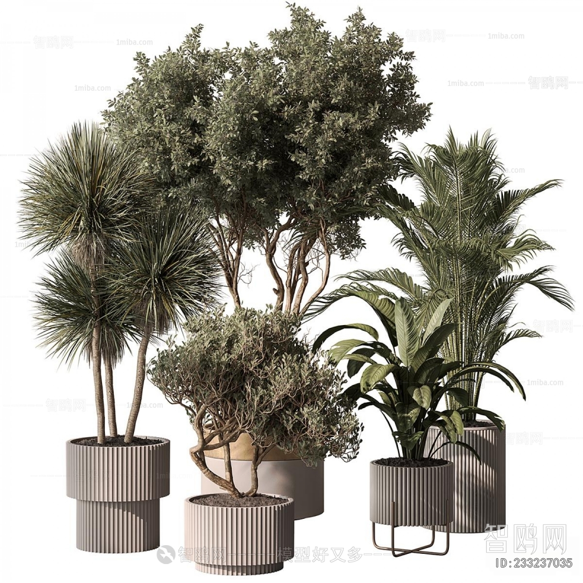 Modern Ground Green Plant Potted Plants