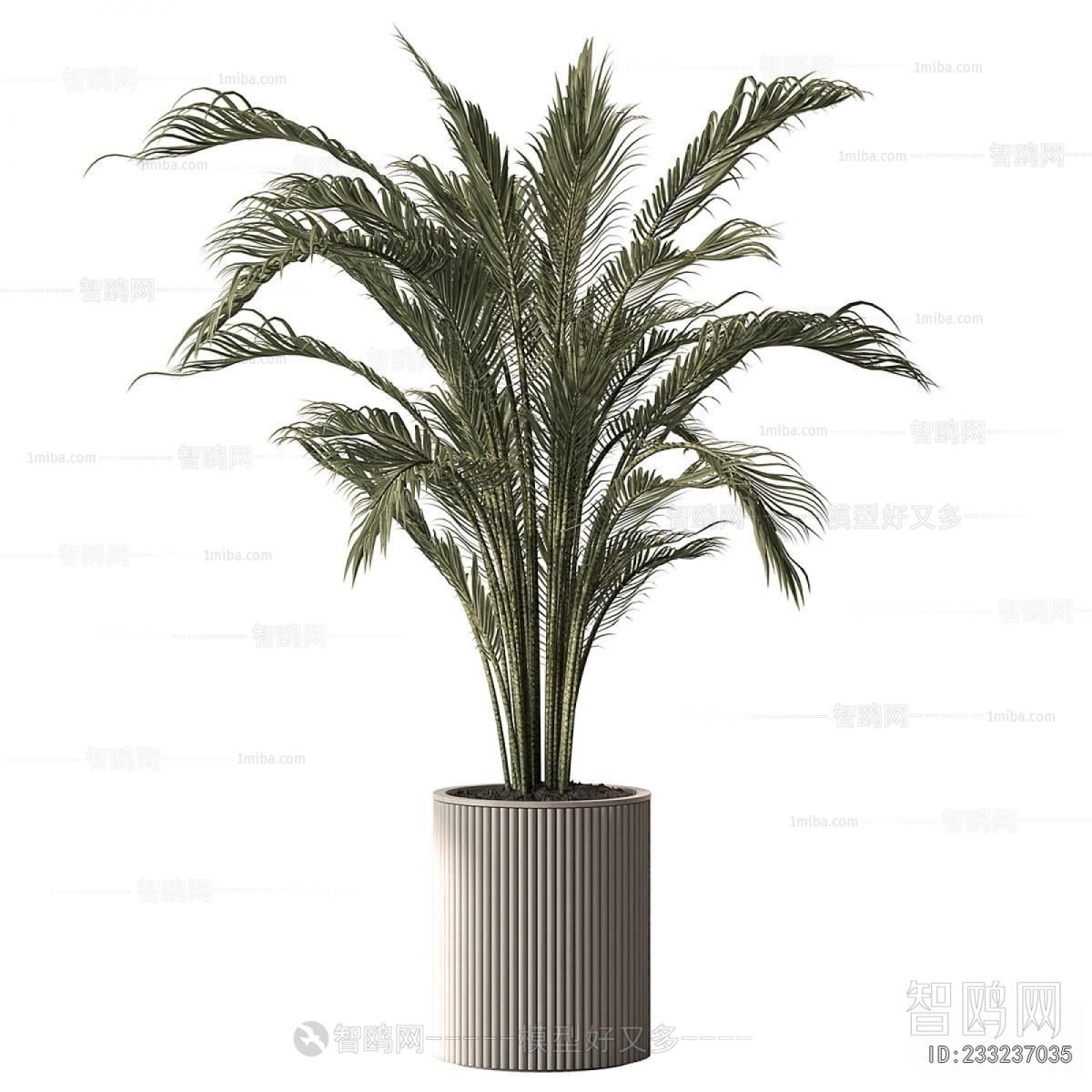 Modern Ground Green Plant Potted Plants