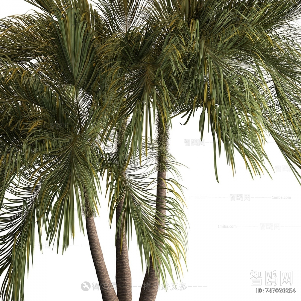 Modern Tree