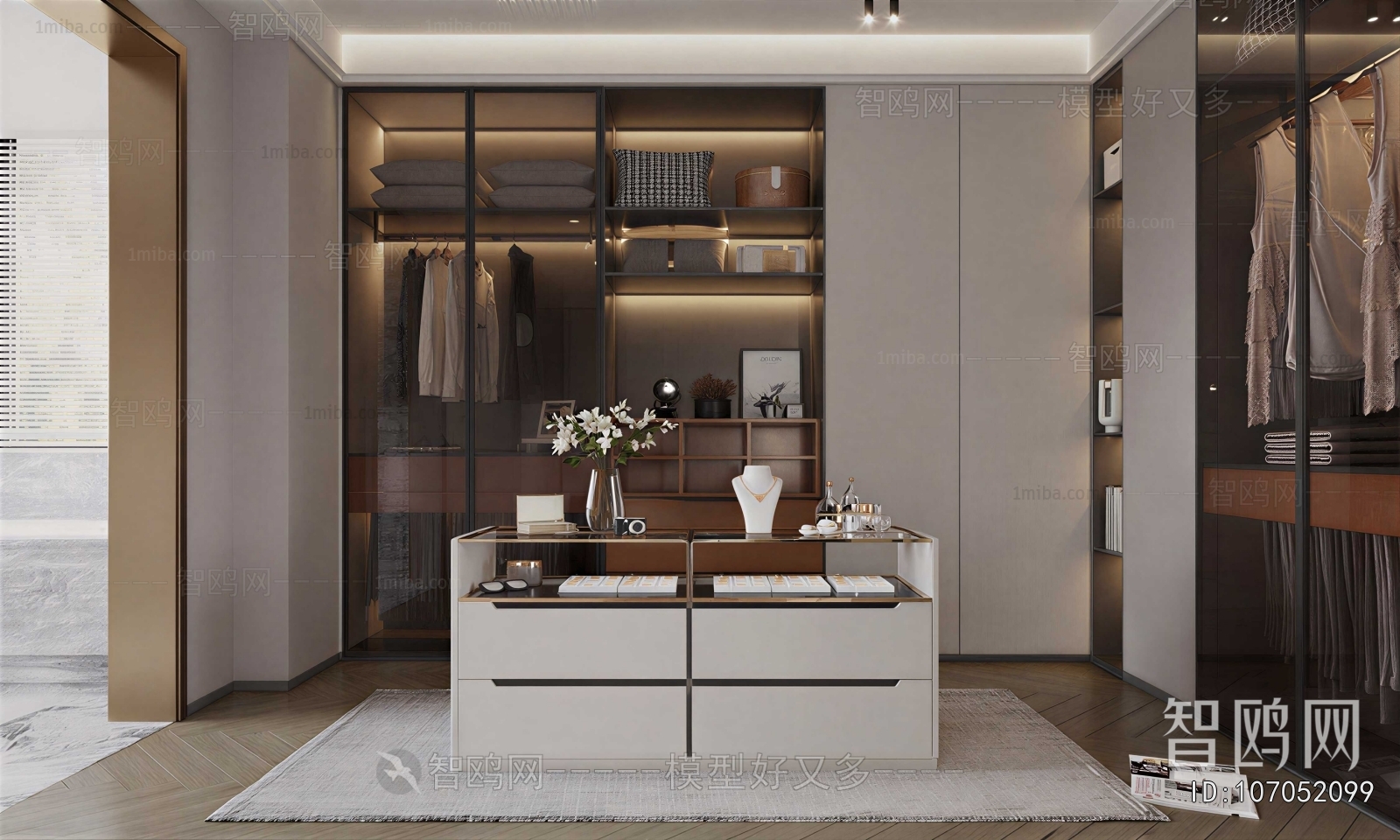 Modern Clothes Storage Area