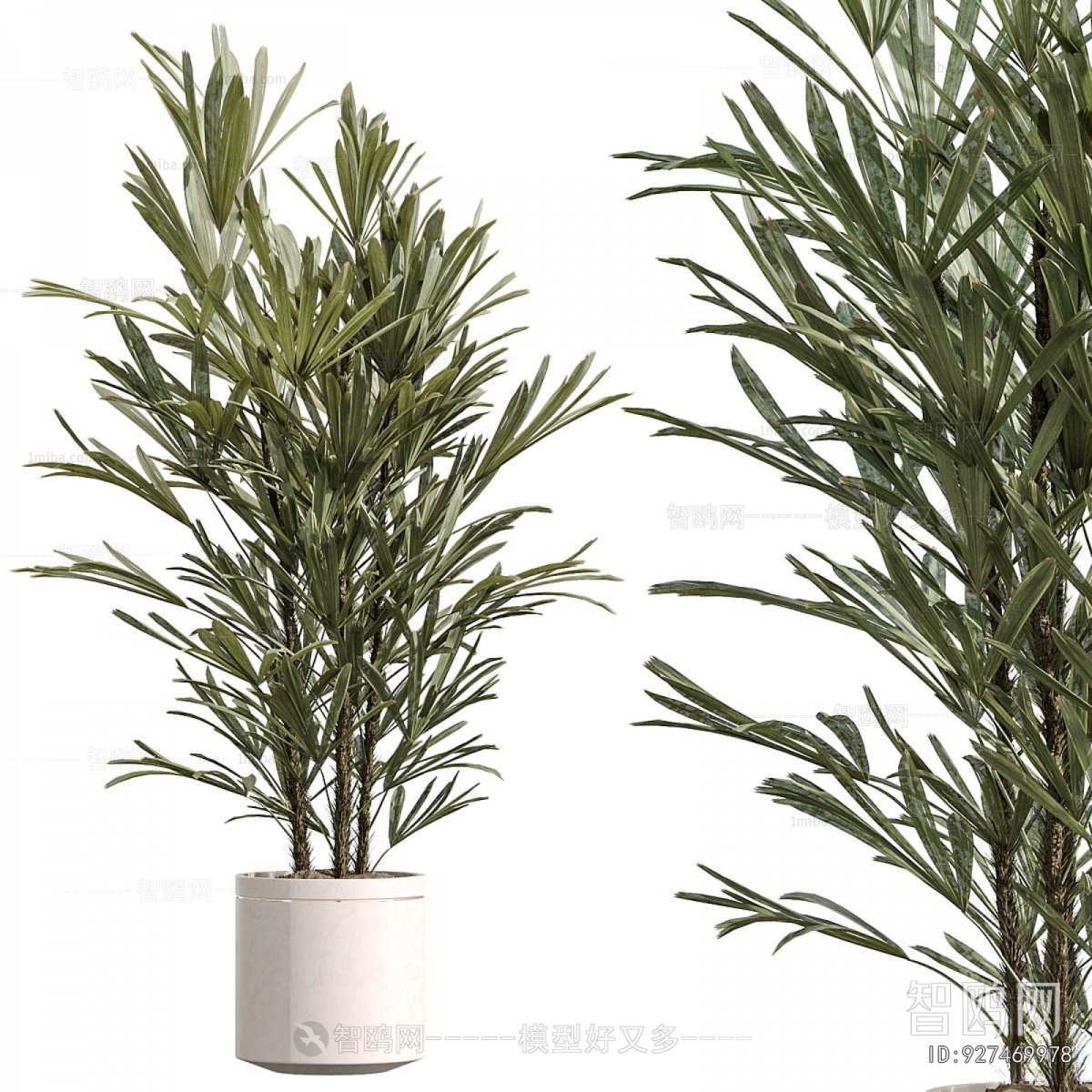 Modern Potted Green Plant