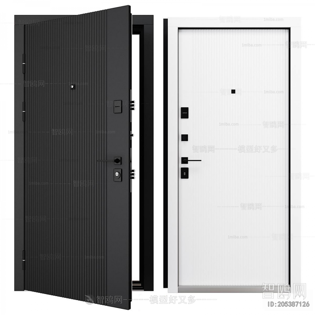 Modern Entrance Door