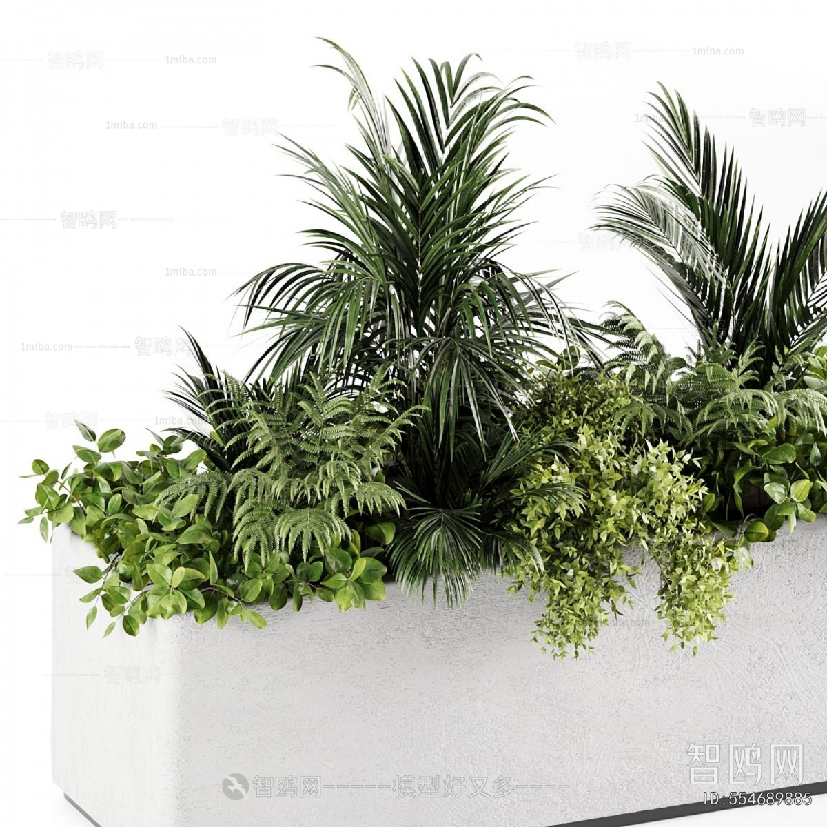 Modern Flower Bed, Flower Bowl, Flower Box