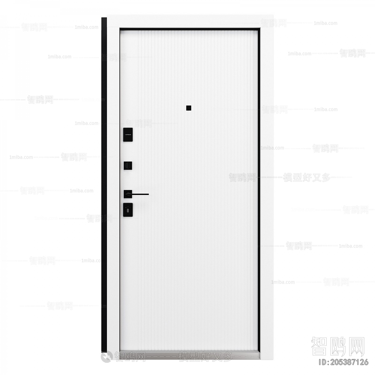Modern Entrance Door