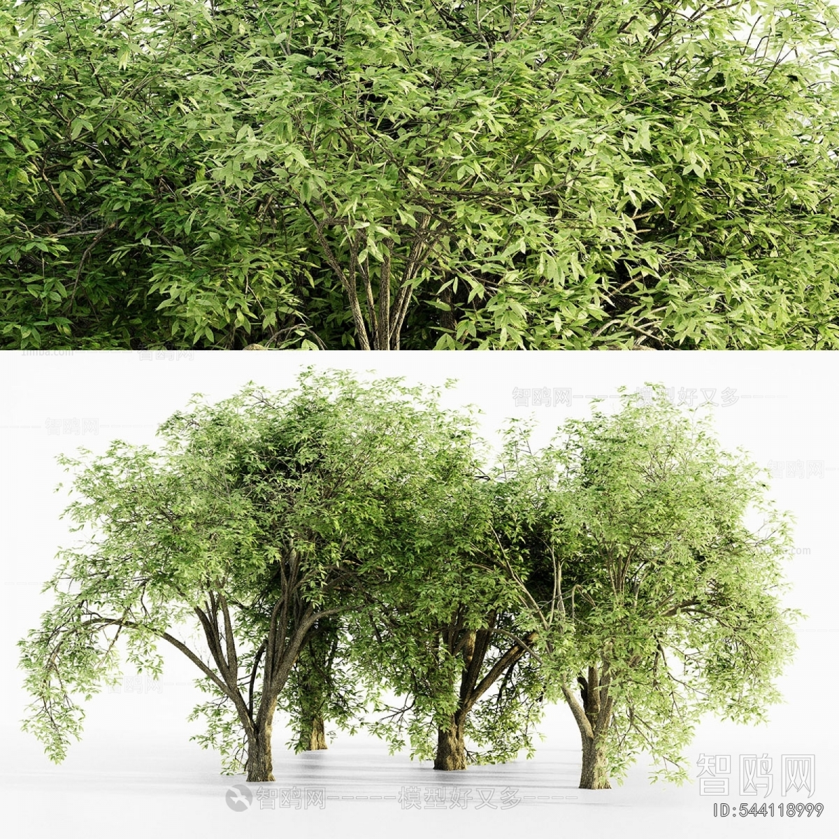 Modern Tree