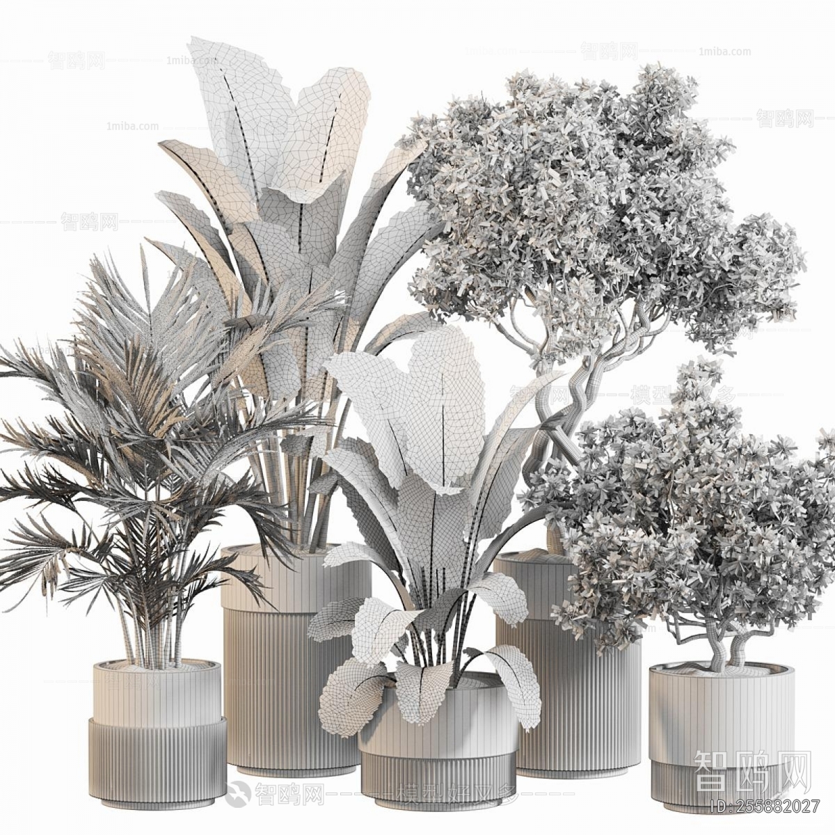 Modern Ground Green Plant Potted Plants