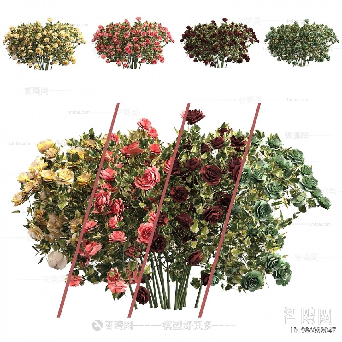 Modern Flowers And Grass