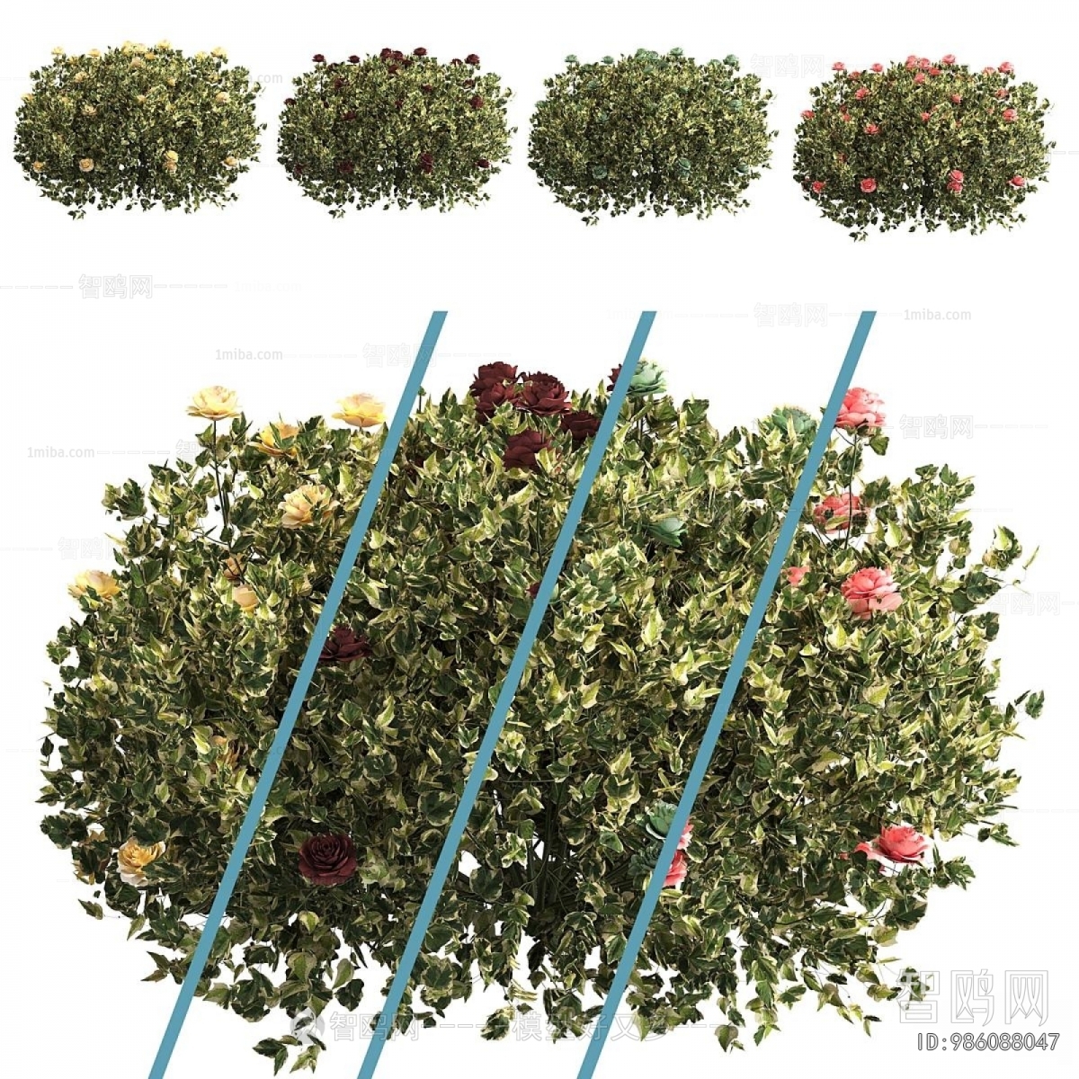 Modern Flowers And Grass