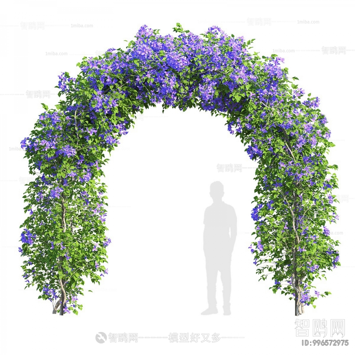 Modern Shrubbery