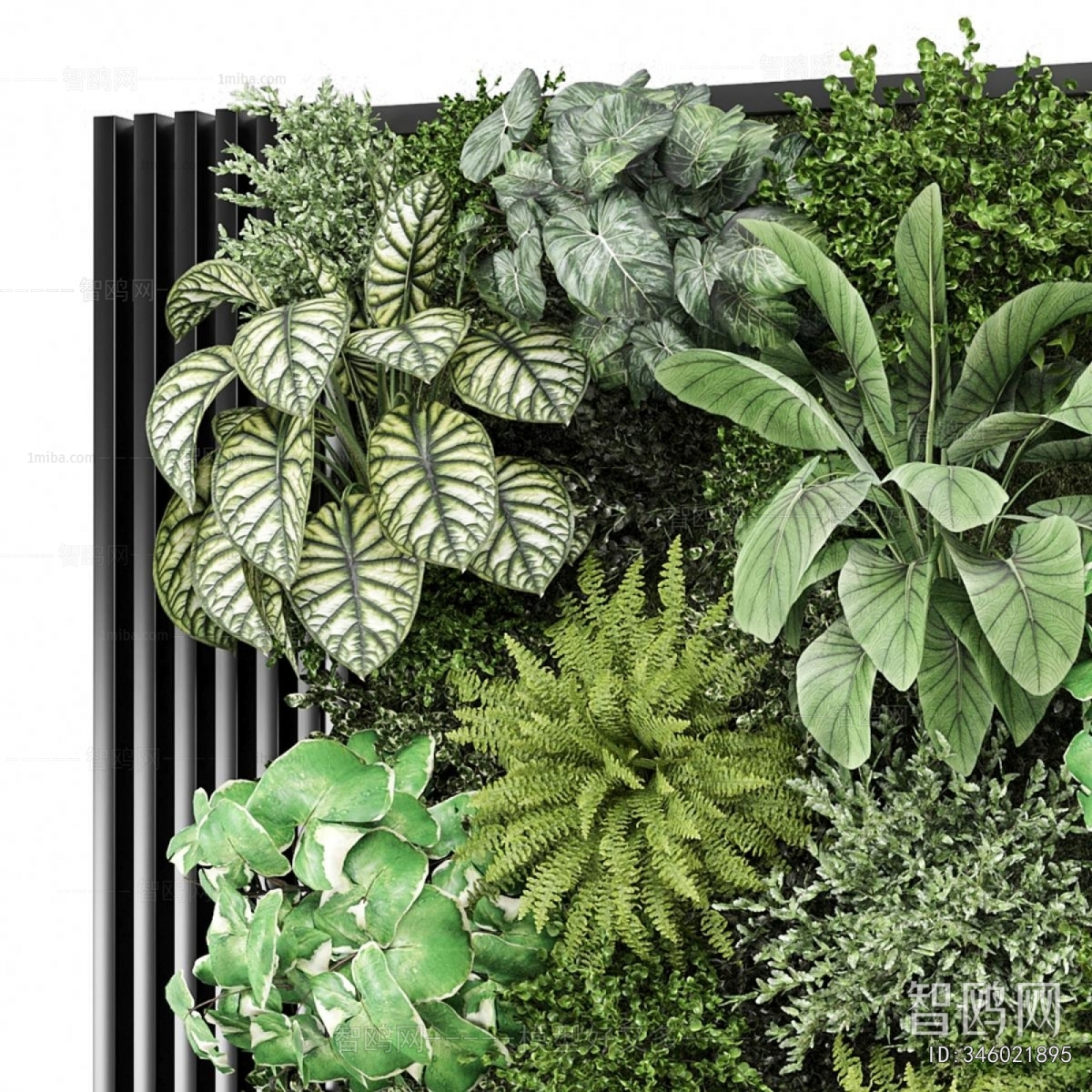 Modern Plant Wall