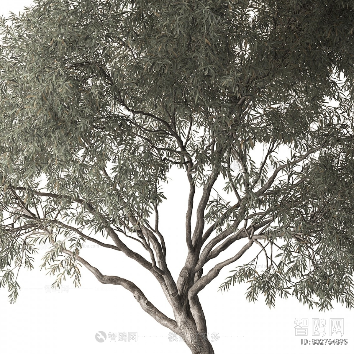 Modern Tree
