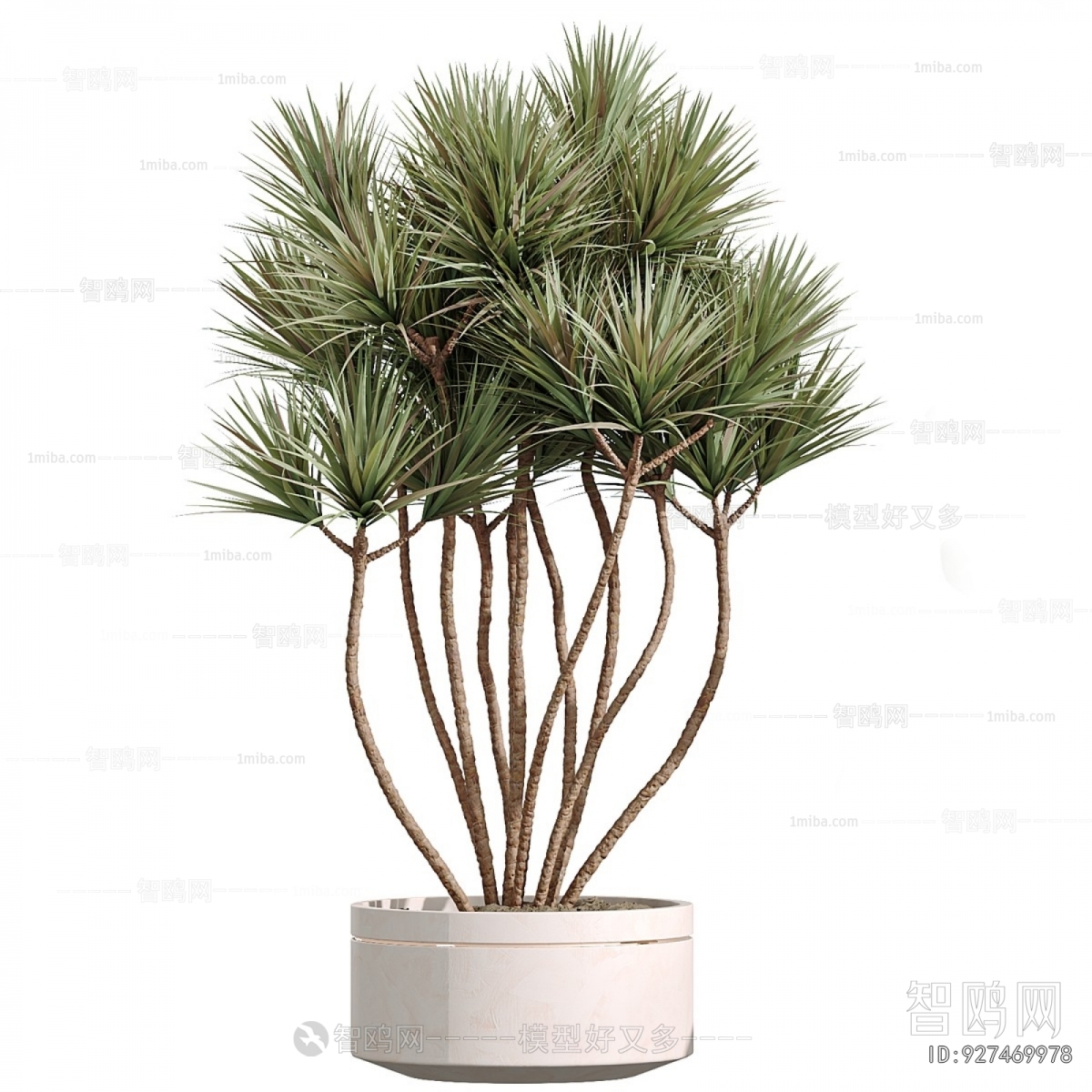 Modern Potted Green Plant