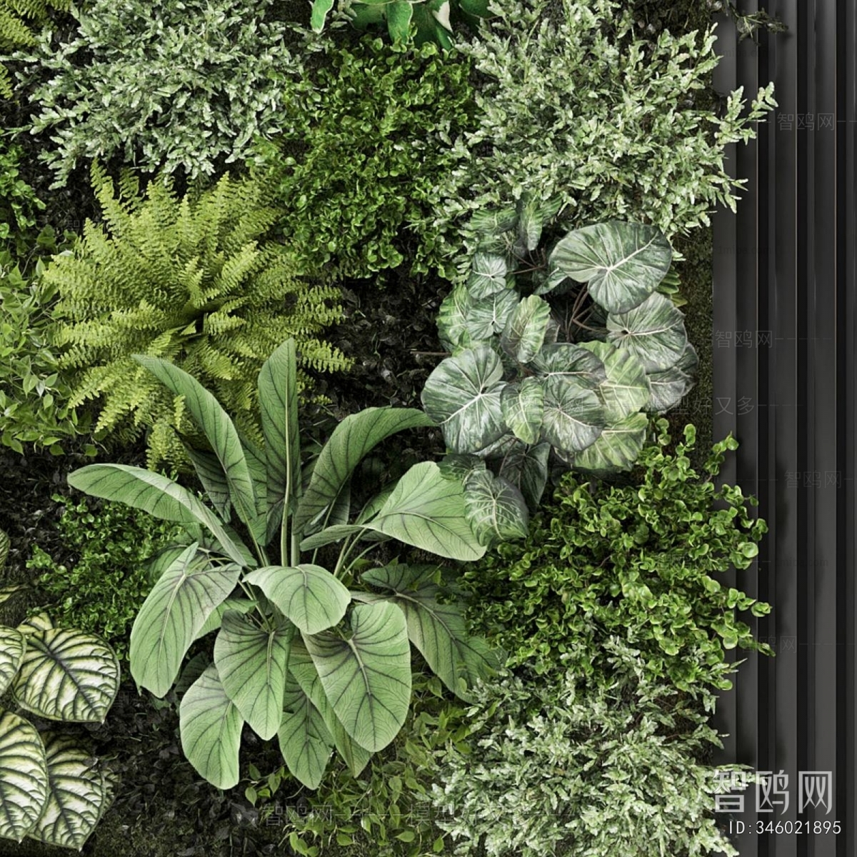 Modern Plant Wall