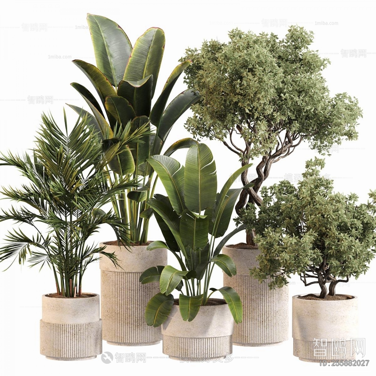 Modern Ground Green Plant Potted Plants