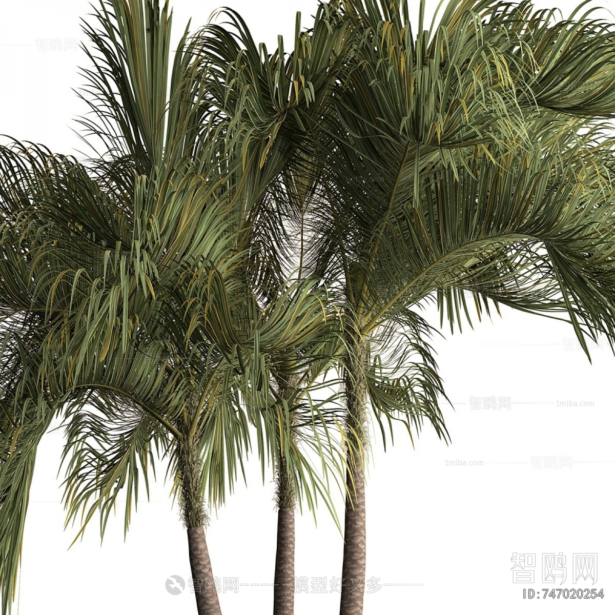 Modern Tree
