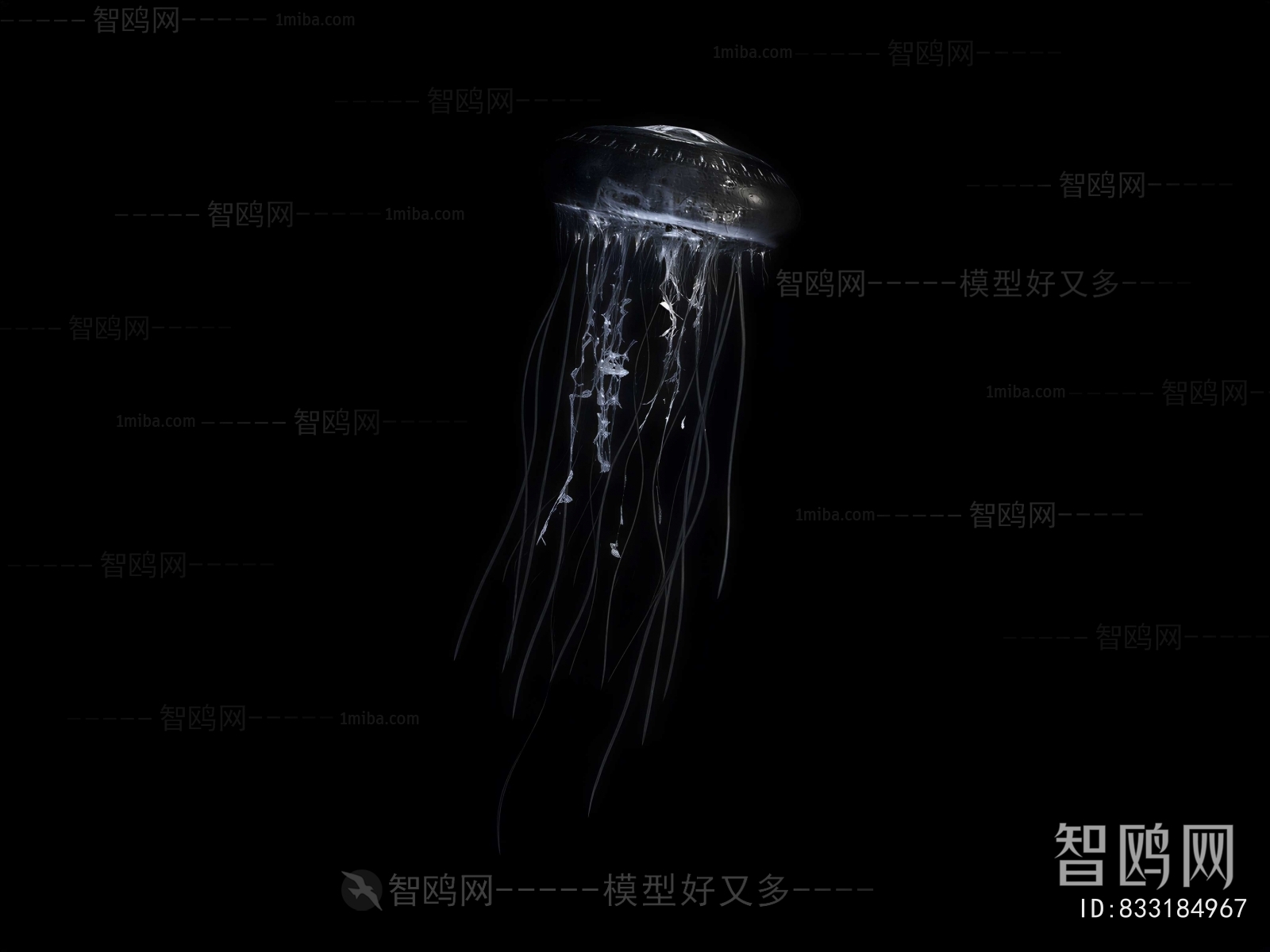 Modern Aquatic Animals