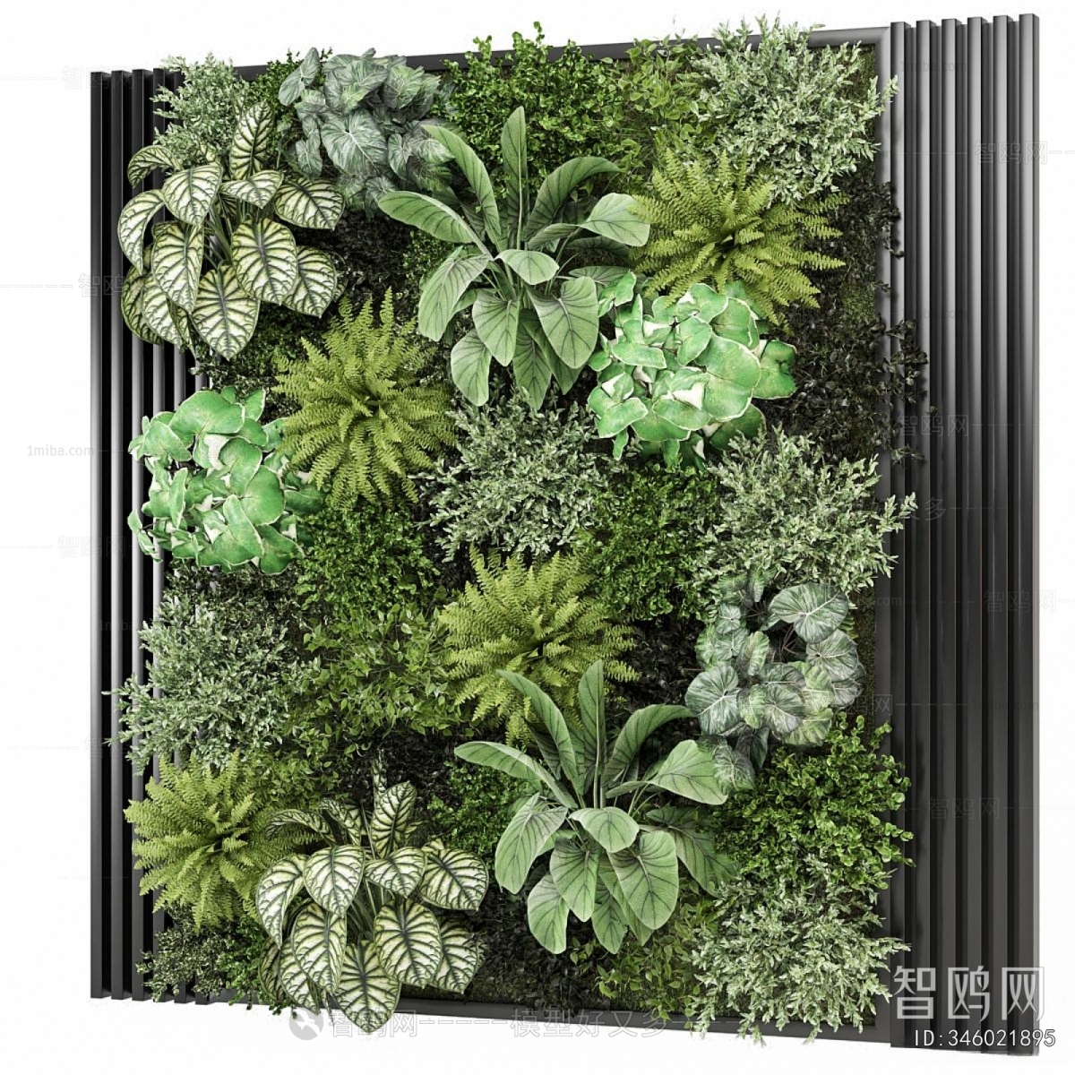 Modern Plant Wall