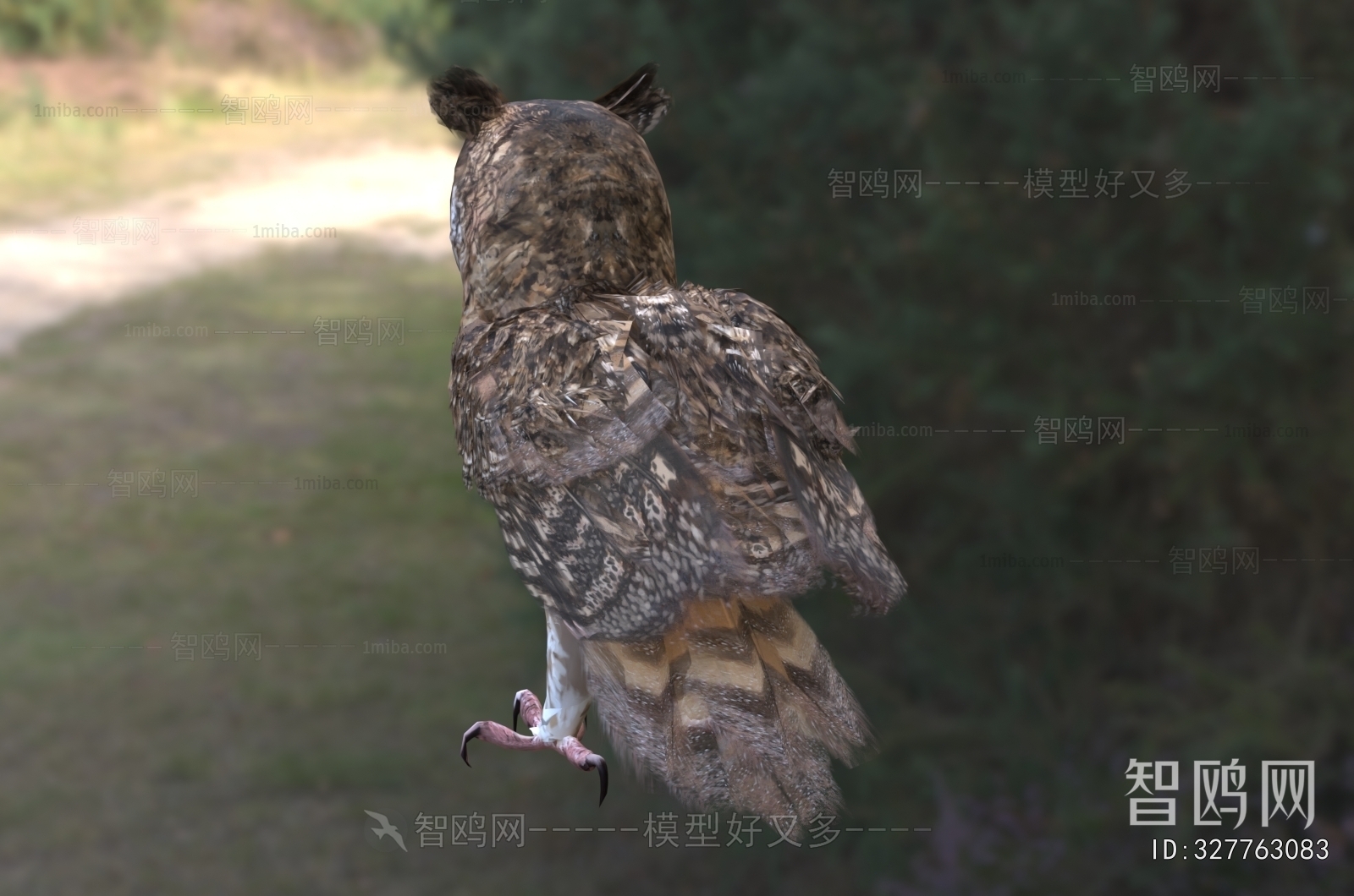 Modern Flying Animals