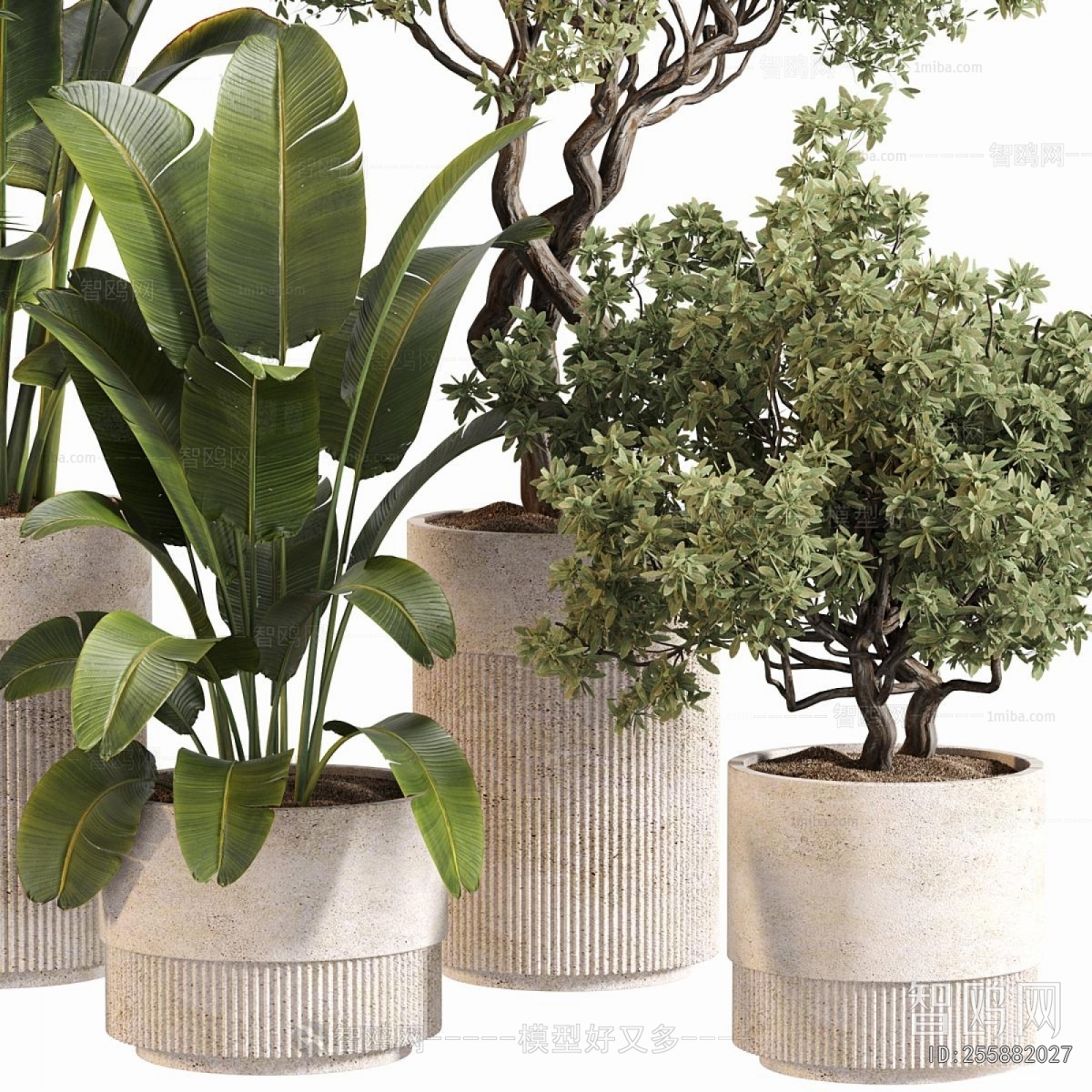 Modern Ground Green Plant Potted Plants