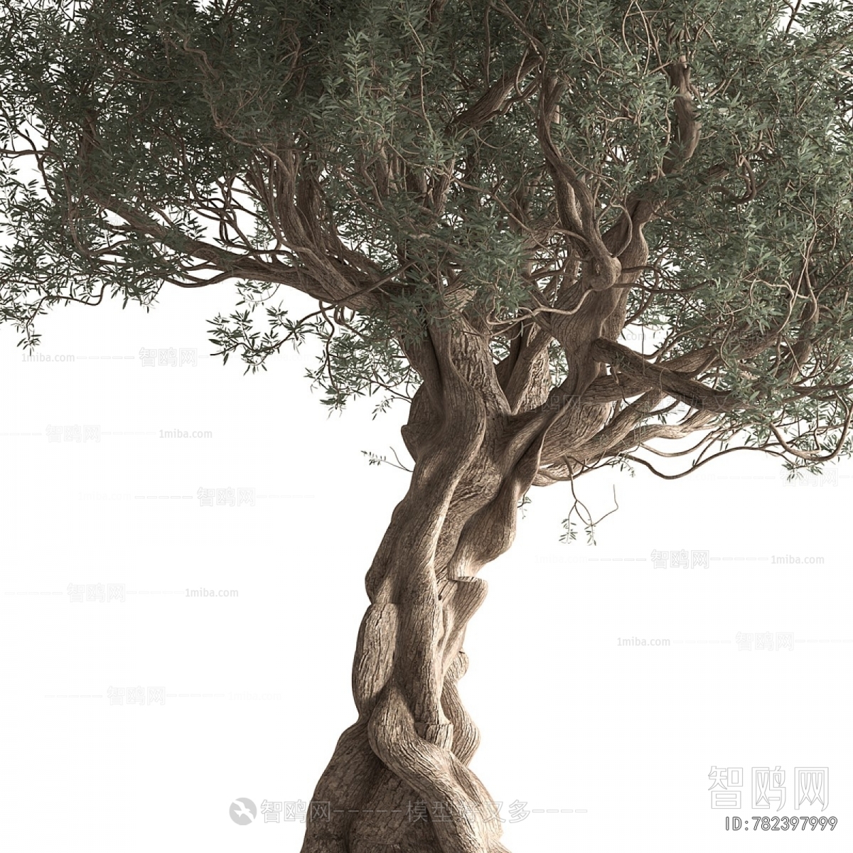 Modern Tree