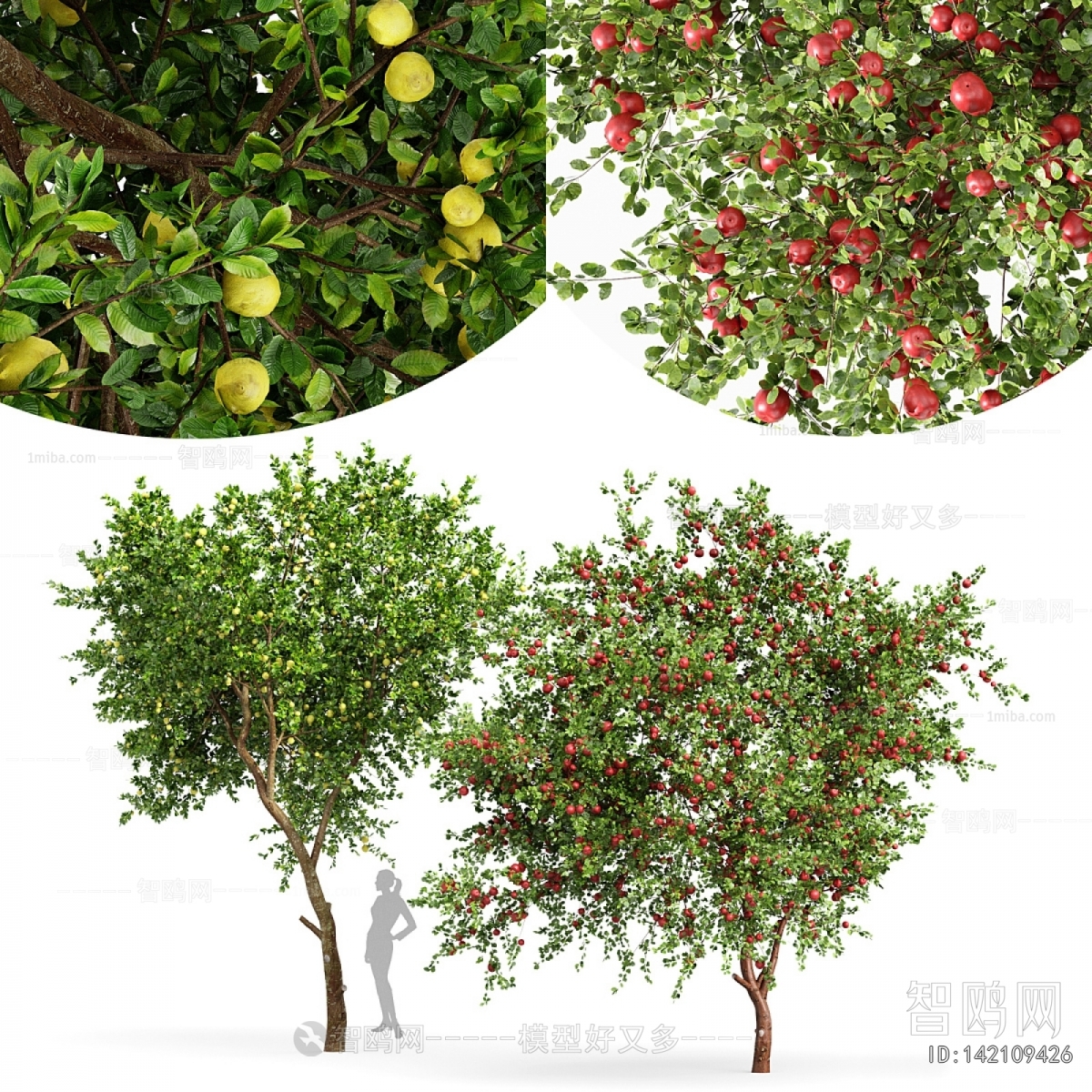 Modern Tree