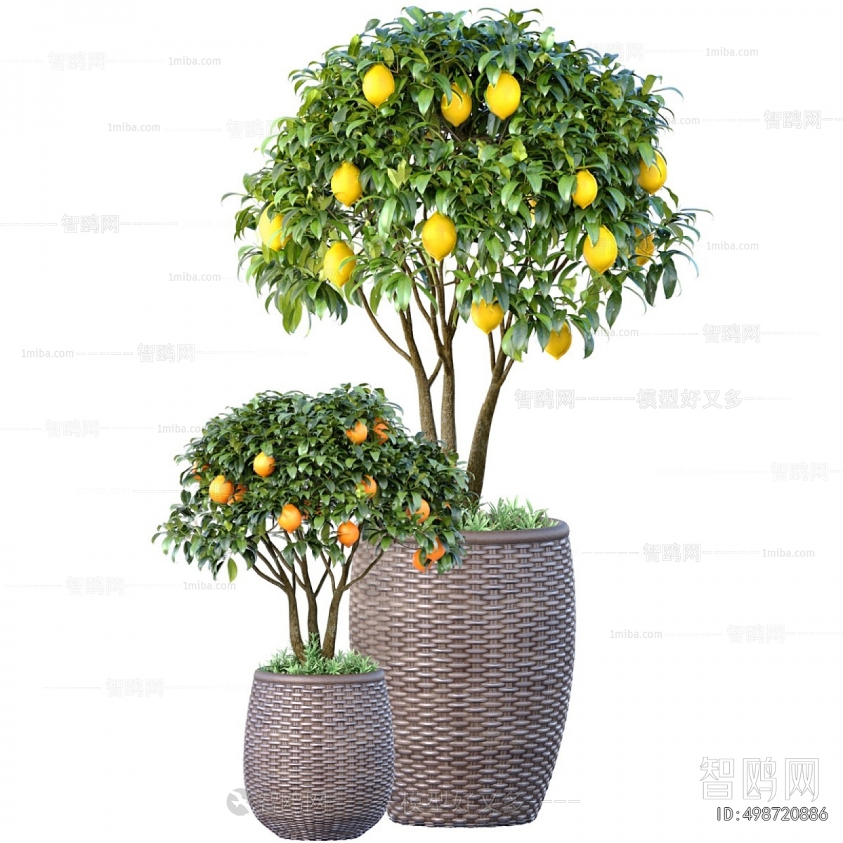 Modern Ground Green Plant Potted Plants