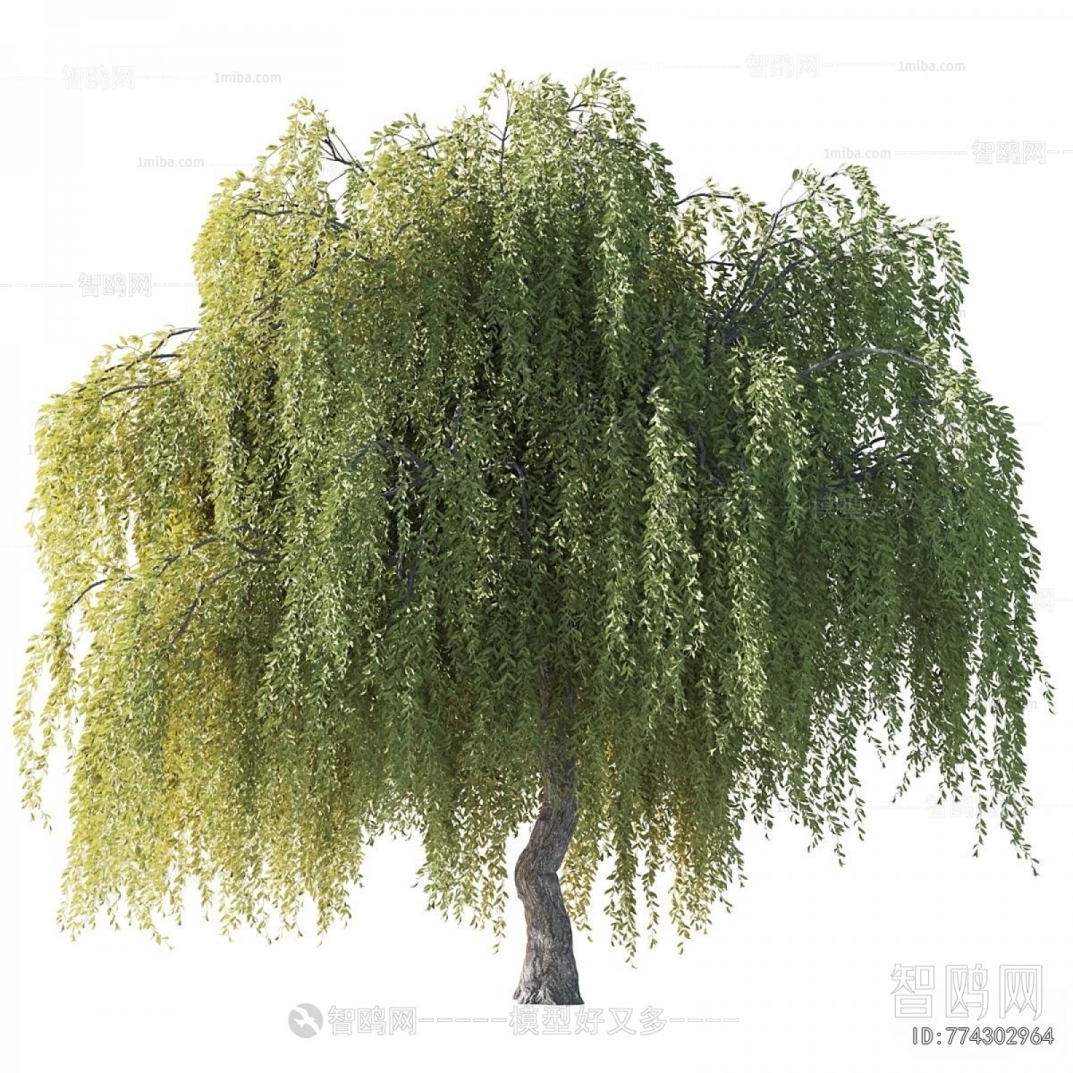 Modern Tree