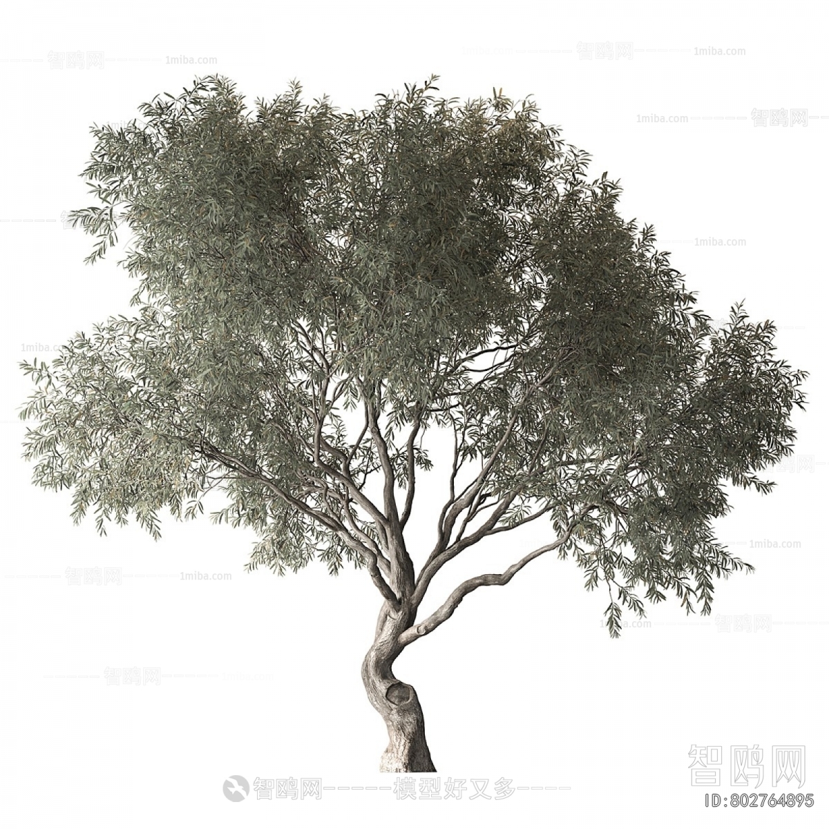 Modern Tree